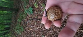 Enlarge photo 138