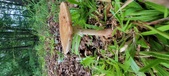 Enlarge photo 139