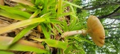 Enlarge photo 141