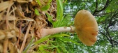 Enlarge photo 143