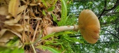 Enlarge photo 144