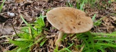 Enlarge photo 146
