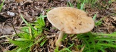 Enlarge photo 147