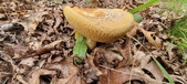Enlarge photo 149