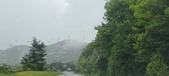 Enlarge photo 167