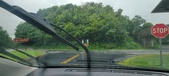 Enlarge photo 162