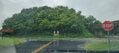 Enlarge photo 170