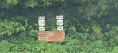Enlarge photo 172