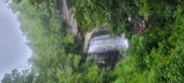 Enlarge photo 175