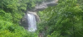Enlarge photo 180