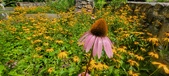 Enlarge photo 192