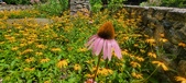 Enlarge photo 193
