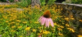 Enlarge photo 194