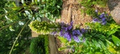 Enlarge photo 195
