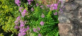 Enlarge photo 197