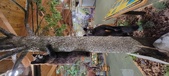 Enlarge photo 205