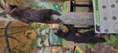 Enlarge photo 206