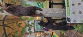 Enlarge photo 207