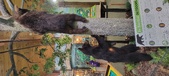 Enlarge photo 208