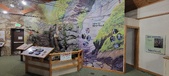 Enlarge photo 215