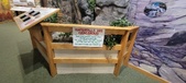 Enlarge photo 216