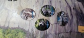 Enlarge photo 225
