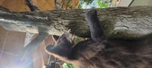 Enlarge photo 232