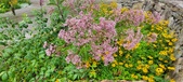 Enlarge photo 238