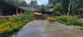 Enlarge photo 242