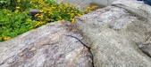 Enlarge photo 244