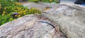 Enlarge photo 245