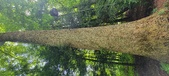 Enlarge photo 248