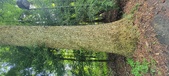 Enlarge photo 249