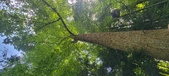 Enlarge photo 251