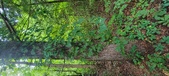 Enlarge photo 254