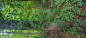 Enlarge photo 255