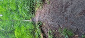 Enlarge photo 256