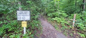 Enlarge photo 257