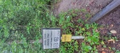 Enlarge photo 258