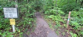 Enlarge photo 259
