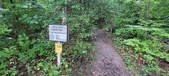 Enlarge photo 260