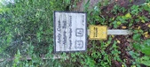Enlarge photo 261