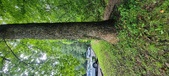 Enlarge photo 262