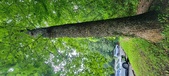 Enlarge photo 263