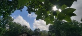 Enlarge photo 279