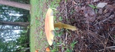 Enlarge photo 286
