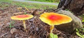 Enlarge photo 302