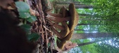 Enlarge photo 331