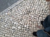 Enlarge photo 25