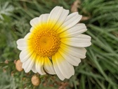 Enlarge photo 33